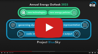 This is an image of the Project Blue Sky video.